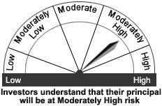 Riskometer