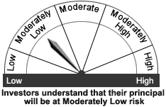 Riskometer